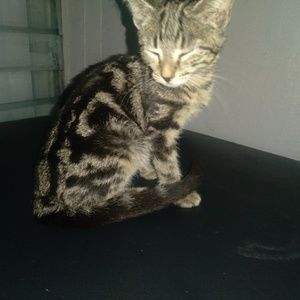 Meet your Posher, John